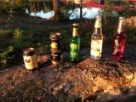 Schwedischer Cider im Test - Vergleich - Preise