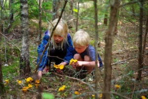 Swedish right of public access - freedom to roam
