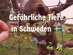 Gefährliche Tiere in Schweden