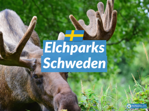 Elchparks in Schweden