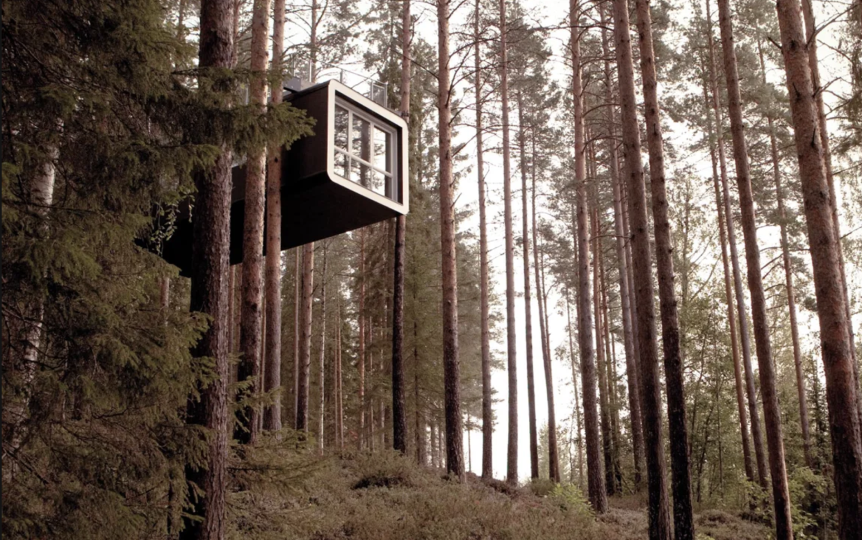 Treehotel - Hotels in Sweden